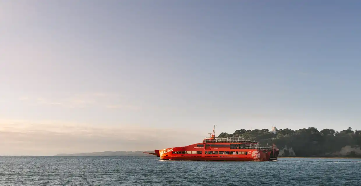 Seacat-for-Winter-blog