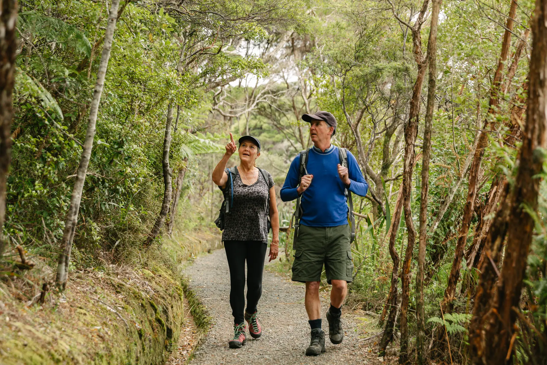 Great Barrier Island beach stargazing