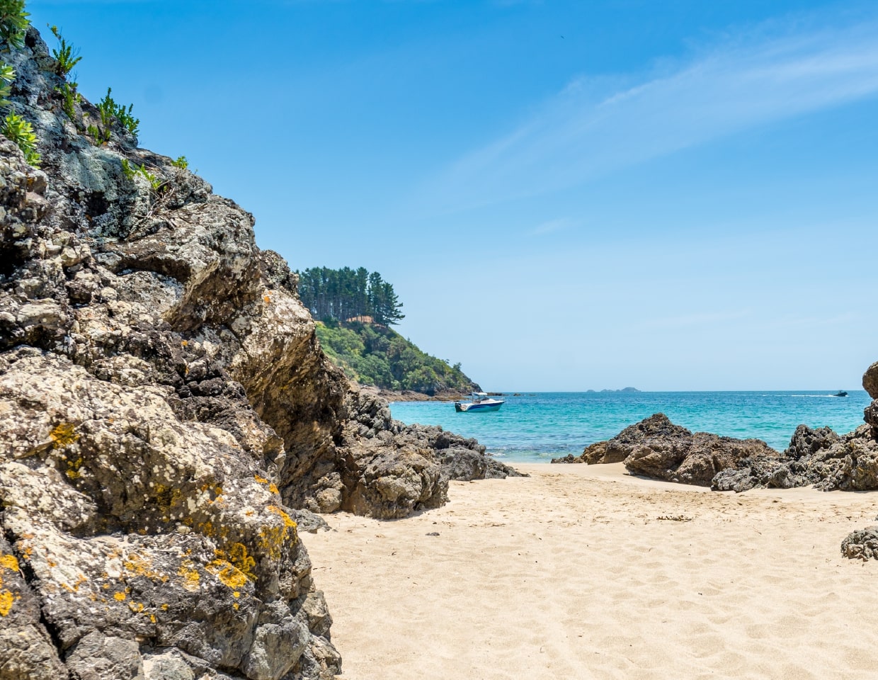 Waiheke Beach in Springtime