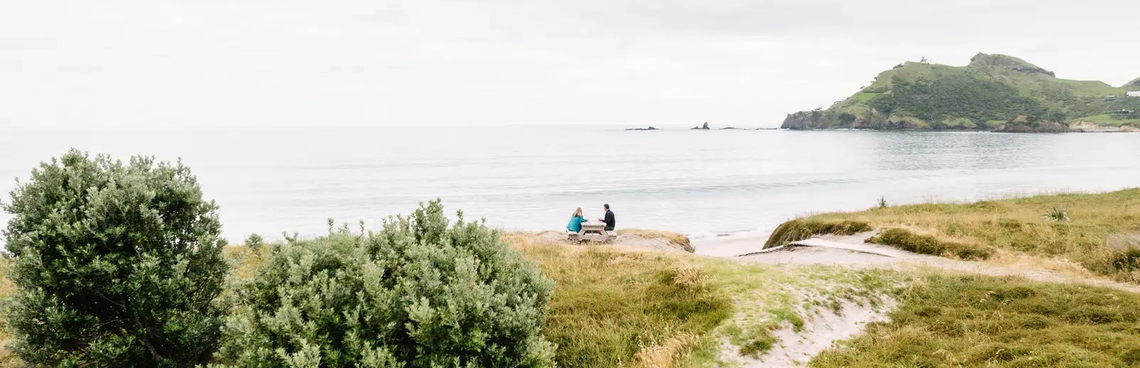 Explore Great Barrier Island SeaLink