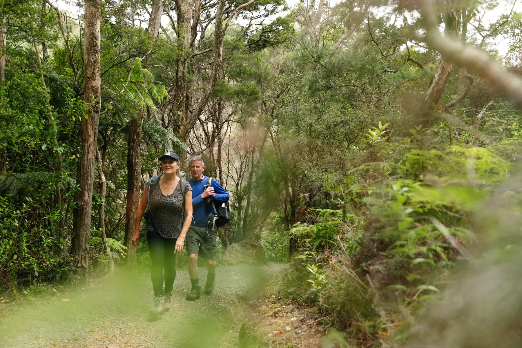 Hiking on Great Barrier Island