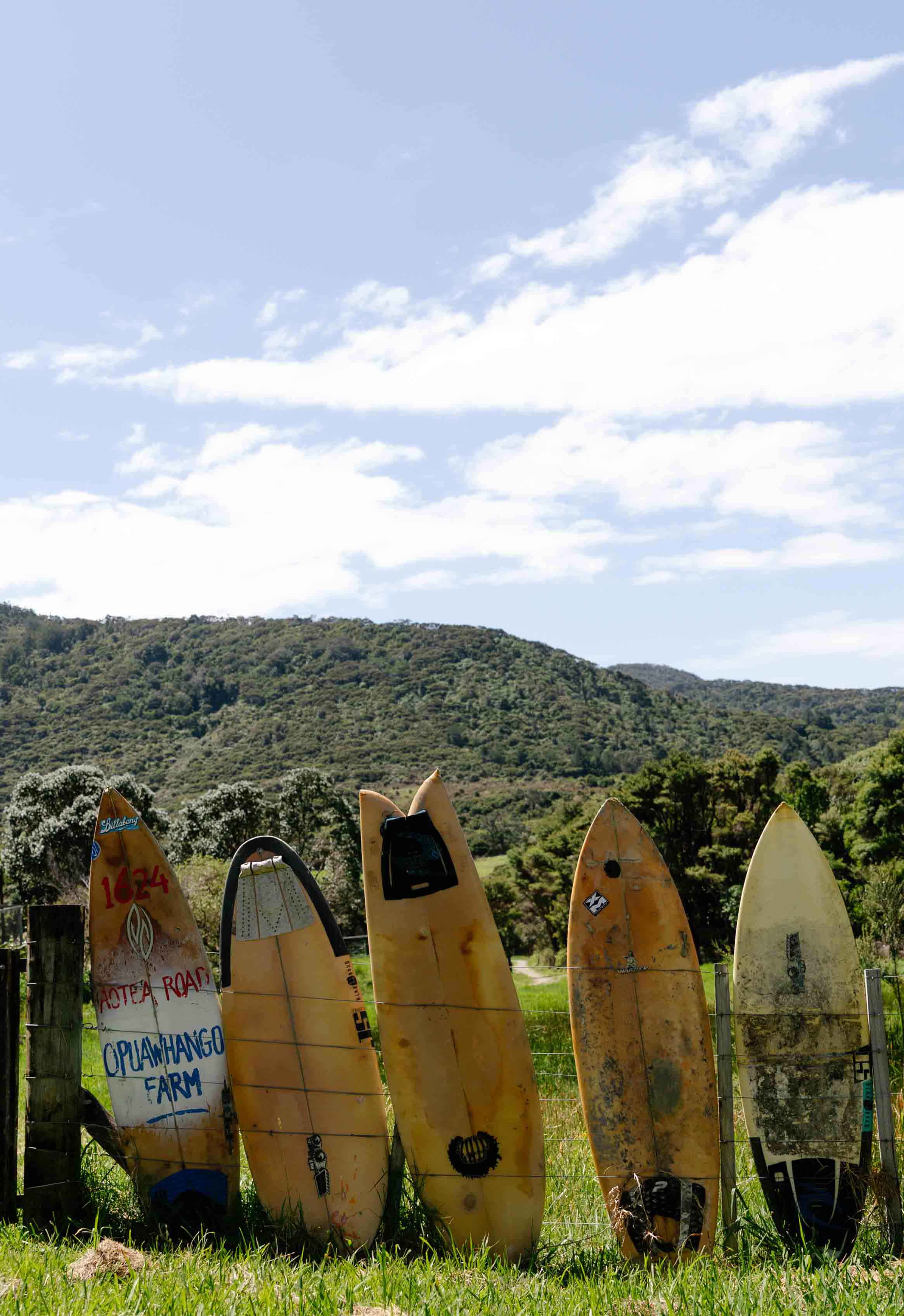 Great Barrier Surfboard