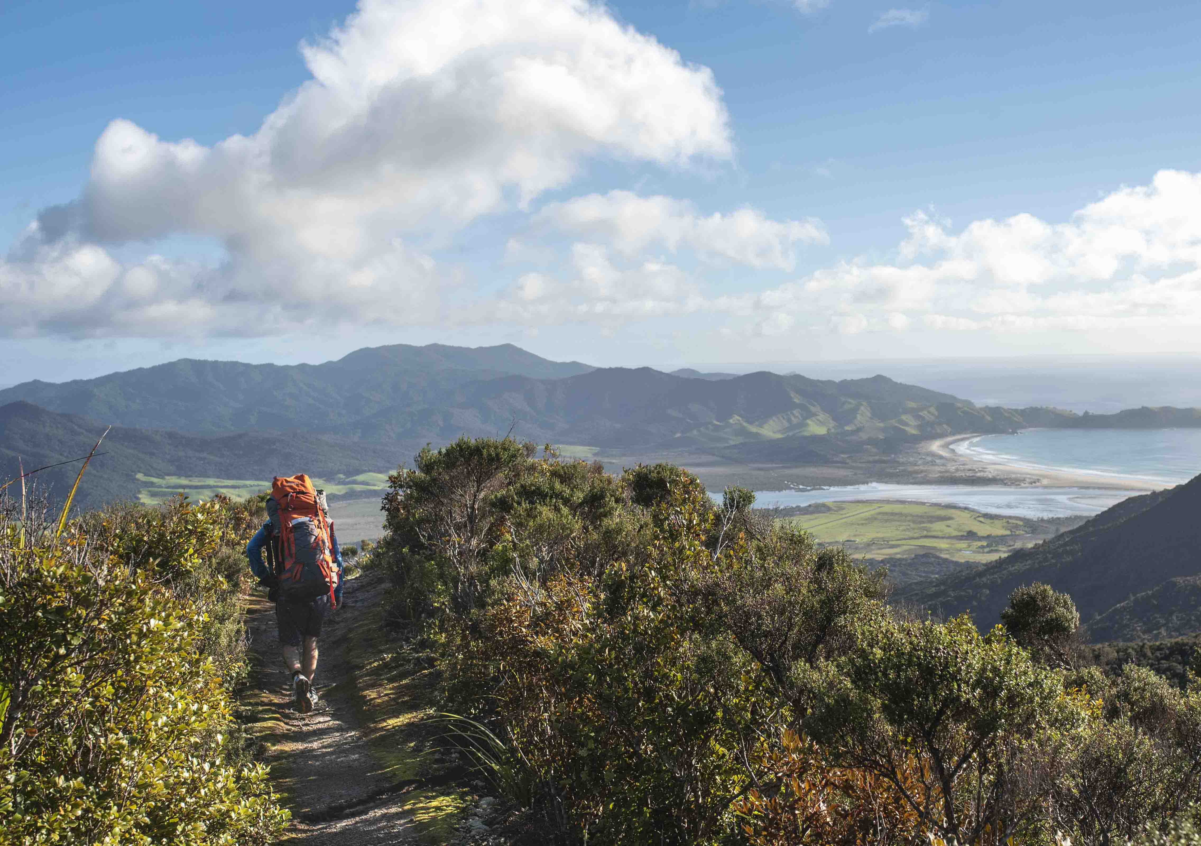 Hiking on Great Barrier Island