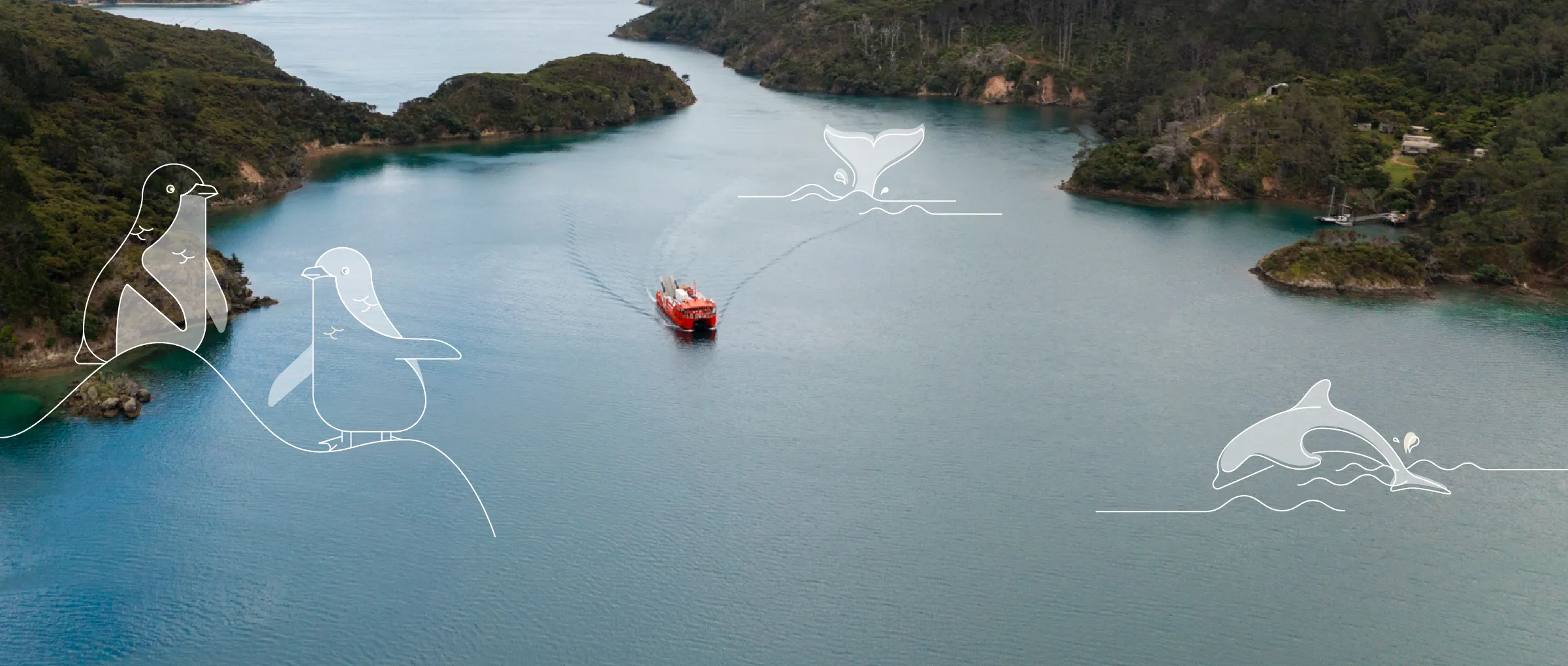 Great Barrier Island Port Fitzroy SeALink