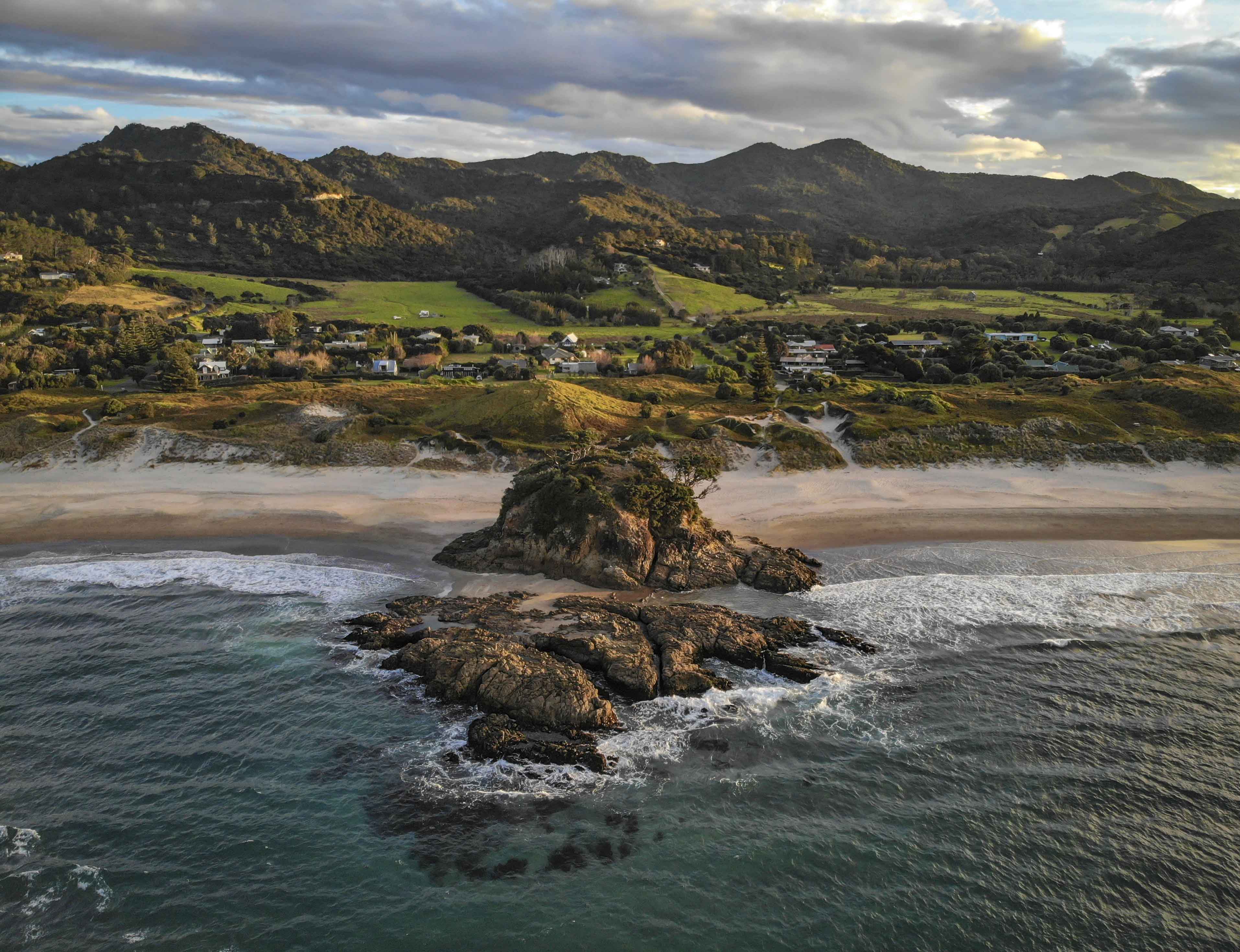 Spring time Great Barrier Island